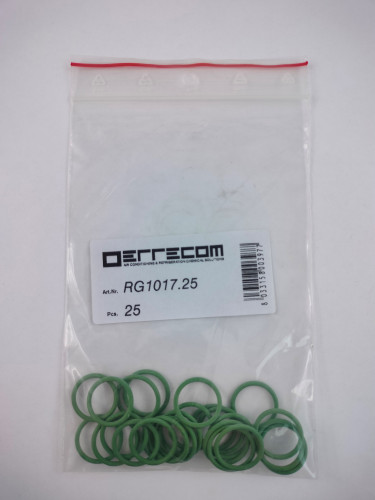 ORING RG1017