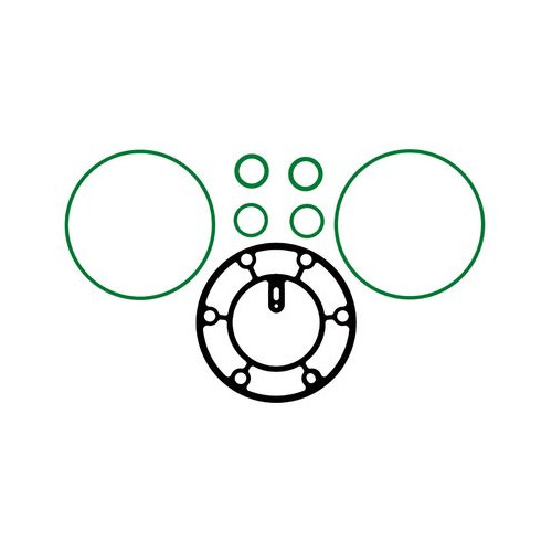 USZCZELNIENIE KORPUSU 1203109 SPRĘŻARKI DELPHI-HARRISON  V5